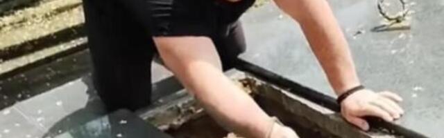 VLADICA IZVUKAO ZMIJU IZ GROBA! Sablasan prizor: Ovakva ZVER NIJE VIĐENA, gledajte šta je GOLIM RUKAMA URADIO!