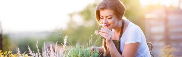 Sutra su Cveti, evo zbog čega se cveće potapa u vodu: Narodna verovanja koja su se i danas zadržala, posebno se odnose na zdravlje dece