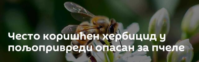Често коришћен хербицид у пољопривреди опасан за пчеле