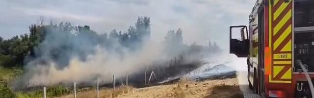 VIDEO: Ponovo gori nisko rastinje u Petrovaradinu - drugi put u manje od 24 sata
