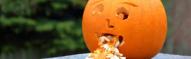 MUKA VAM JE DOK PUTUJETE? Ruski lekar otkriva kako da se rešite bolesti kretanja