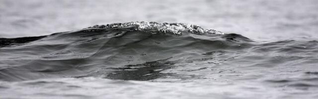 Pronađeno beživotno telo ispod Kaćkog mosta