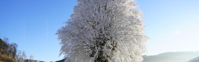 Sutra najkraći dan u godini – počinje zima