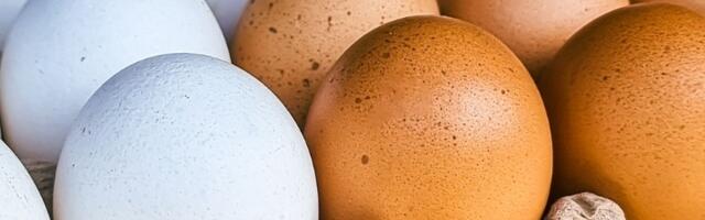 Koja je razlika između belih i smeđih jaja? Stručnjaci konačno dali odgovor