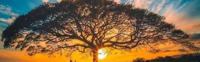 HOROSKOP ZA SREDU, 28. JUL: Strelce i Vage danas "hoće" pare, Jarac ulazi u novu vezu, Vodolije će imati psihosomatske tegobe