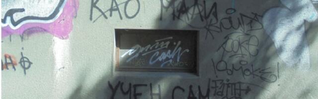 Ljubodrag Stojadinović: Magistar Mali