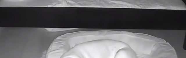 Dečak (2) se svake večeri iskrade iz svog kreveta, roditelje je razlog raspametio (VIDEO)