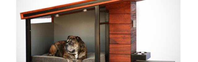 Najluksuznija kućica za pse