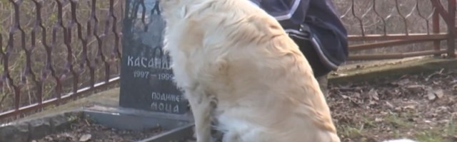 Najlepši dokaz velike ljubavi između čoveka i psa: Seoskoj keruši Kasandri gazda Momo podigao spomenik na kom stoji njena slika (FOTO)