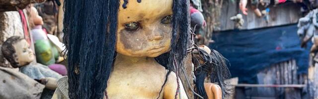 Nije trebalo da postane turistička atrakcija, a jeste: Morbidni "ukrasi" na drveću čine ga zastrašujućim