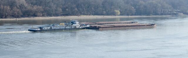 Nesvakidašnji gost na Dunavu: Prešao 118 kilometara u jednom danu, a sada se pitamo da li će opet doći!