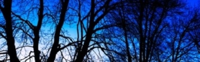 Ribe i Strelca očekuje veliki uspeh, Vodoliju novac, a Vagu iznenađenje od voljene osobe! (VIDEO)