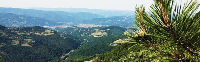 Apel NP ‚‚Tara“: Oprez sa paljenjem vatre za praznike