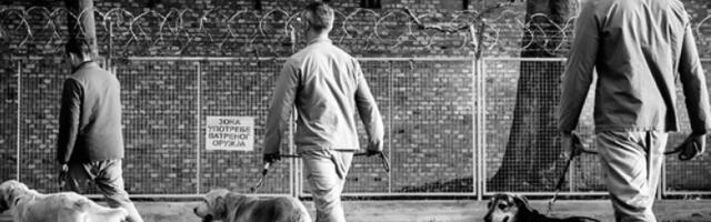 „Шапе” спаса у затворима