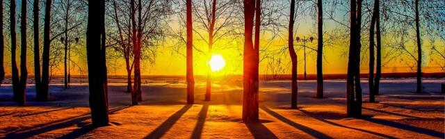 Izabrana najlepša reč srpskog jezika