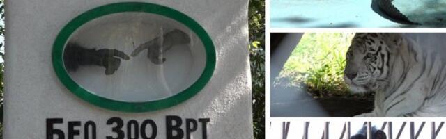 ŠAPIĆ O RAZLOZIMA PREMEŠTANJA BEO ZOO VRTA! Otkrio gde će biti nova lokacija