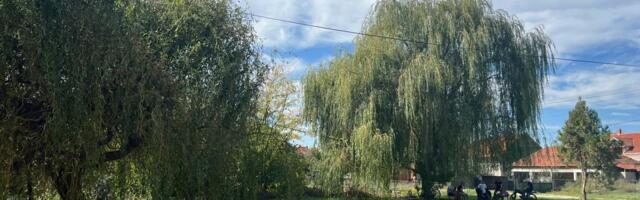 Deratizacija i dezinsekcija od 23. juna u Leskovcu
