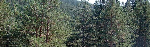 Planovi za aerodrom na Zlatiboru: "Net zero" koncept, leteći taksiji i stizanje od Beograda za 35 minuta