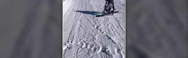 Ršum na ski stazi: Početnika vuče žičara (VIDEO)