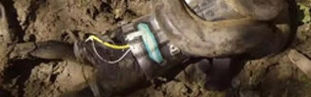 Čovek koji je želeo da ga zmija živog pojede opisuje svoje iskustvo