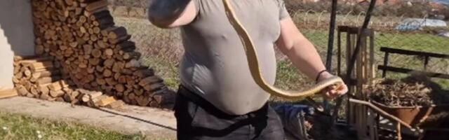 VLADICA IMAO ŽESTOKU AKCIJU KOD VRANJA! Legao na zemlju pa izvukao GROSIJU od 2 metra, stiže nam prava NAJEZDA FOTO