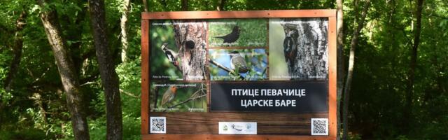 Ovde je jedno od najlepših mesta u Srbiji, a malo ko zna za njega: Oaza gde se gnezde sve vrste čaplji Evrope