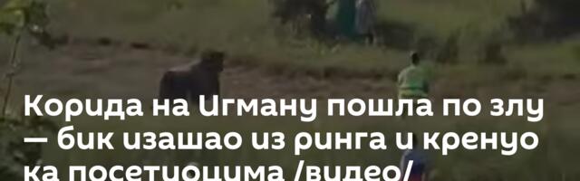 Корида на Игману пошла по злу — бик изашао из ринга и кренуо ка посетиоцима /видео/