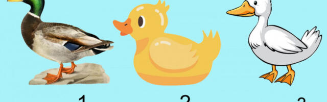 TEST LIČNOSTI koji otkriva više nego što mislite: Izaberite jednu patku i saznajte šta vaš izbor govori o vama