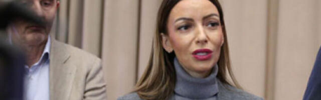 Месаровићева: Подршка Селаковићу, притисци неће зауставити његову борбу за истину