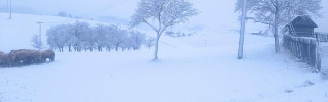 BEZ STRUJE OSTALO VIŠE OD 10.000 LJUDI, PROGLAŠENA VANREDNA SITUACIJA U OVOM GRADU: Neka sela su odsečena od sveta