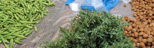 Čupate misleći da je korov, a u pitanju je jedna od najzdravijih biljaka na svetu