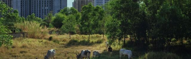 Još jedan srpski film na Kanskom festivalu