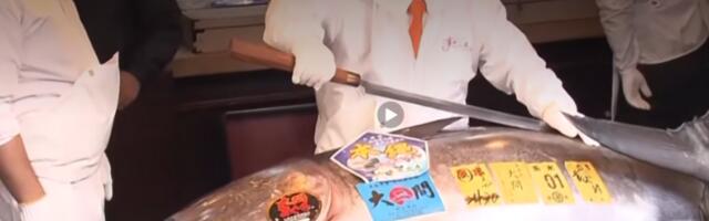 ​Јапан: оборен рекорд за најскупљу туну, коштала је 3,2 милиона долара