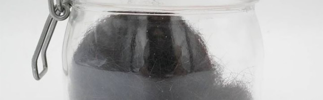 Tegla kose Elvisa Prislija košta čitavo bogatstvo