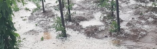 (FOTO) JAKO NEVREME PROTUTNJALO ZLATIBOROM! Grad opustošio polja, SVE SE BELELO!