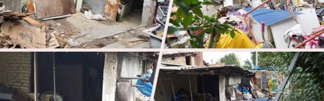 Telegraf at Zemun murder scene: Woman's head smashed with a piece of wood, suspect runs away with children