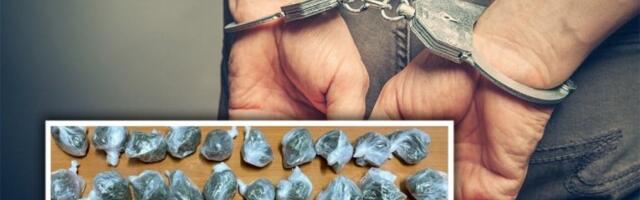 "PAO" DILER U NOVOM SADU! Policija mu pronašla drogu, vagicu, dinare i devize!