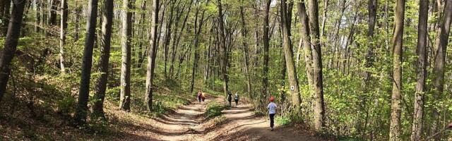 Fruškogorski maraton danas i sutra: Očekuje se 10.000 učesnika