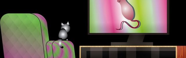 Ukoliko ljubimcu ostavljate uključen televizor dok niste tu, OVO treba da uradite čim se vratite kući!