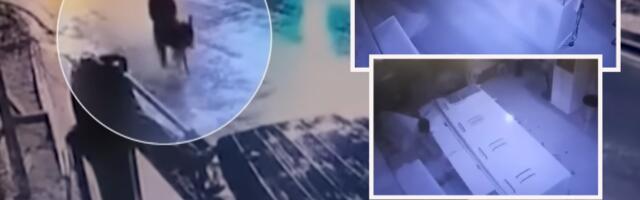 KOMEDIJA! Turčin opljačkao zlataru viljuškarom, pa s plenom pobegao na magarcu! NAJBOLJE OD SVEGA JE ŠTO JE KRENUO OD KUĆE SA IDEJOM DA KUPI ALKOHOL! (VIDEO)