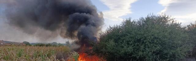 Upozorenje lokalne samouprave: Inspekcijski organi kažnjavaće paljenje vatre na otvorenom