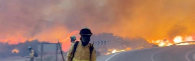 U Španiji 12 osoba stradalo u šumskom požaru, toplotni talas zahvatio južnu Evropu