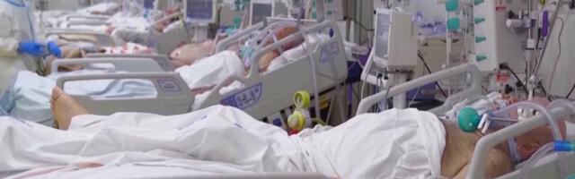 Radovanović: Broj umrlih od korone četiri puta veći, bezumlje će nas koštati