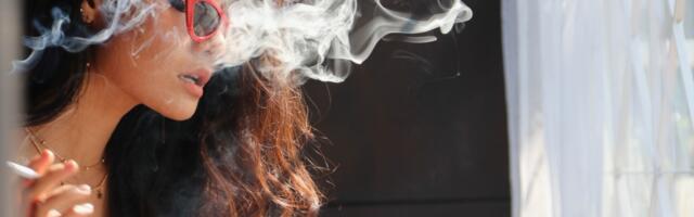 5 najboljih biljaka za zdravlje pluća i disajnih puteva