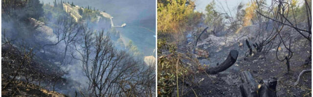 SCENE UŽASA IZ NJIVICA Požar guta brdo, vatrenoj stihiji ne mogu da stanu na kraj! (FOTO)