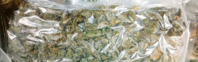 HAPŠENJE U SUBOTICI Sumnja se da su palicama pretukli muškaca,  kod dvojice osumnjičenih pronađeno kilo trave