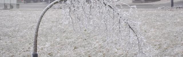 Dramatično upozorenje RHMZ: Spremite zalihe hrane, moguć i nestanak struje!