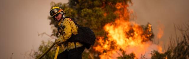 Izgorele njive, rastinje, telefonski stubovi: Bosanac izazvao stravičan požar