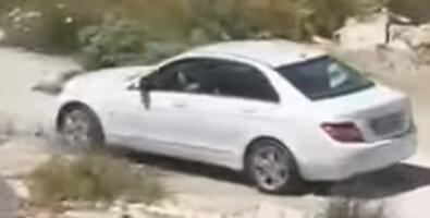 DRAMA U ULCINJU: Žena autom PREGAZILA PSA nakon što je njen ljubimac napadnut, pokušala da pobegne iz države (VIDEO)