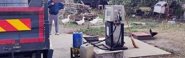 Penzioner u Zemunu držao divlju pumpu